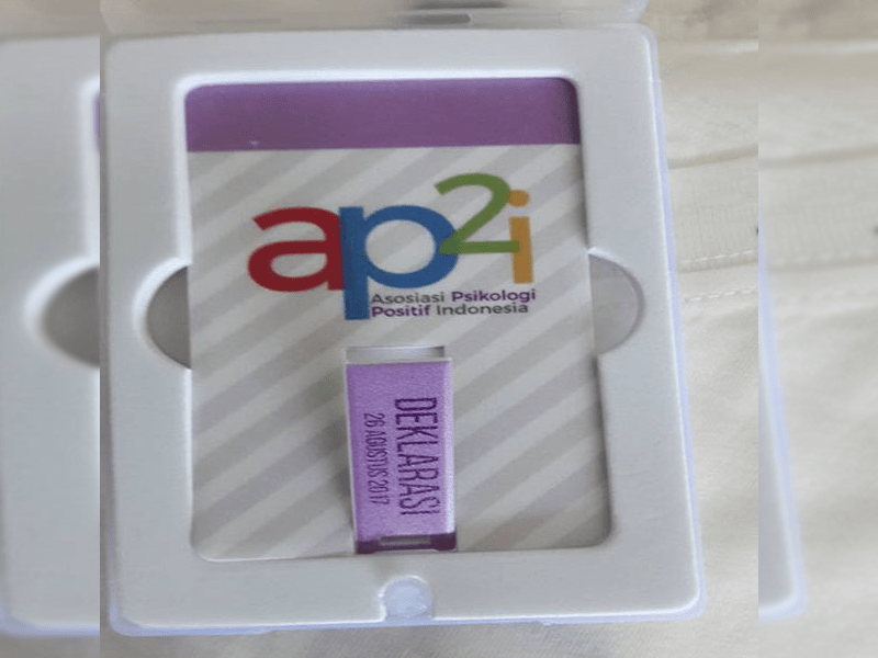 ap2i (2)-min